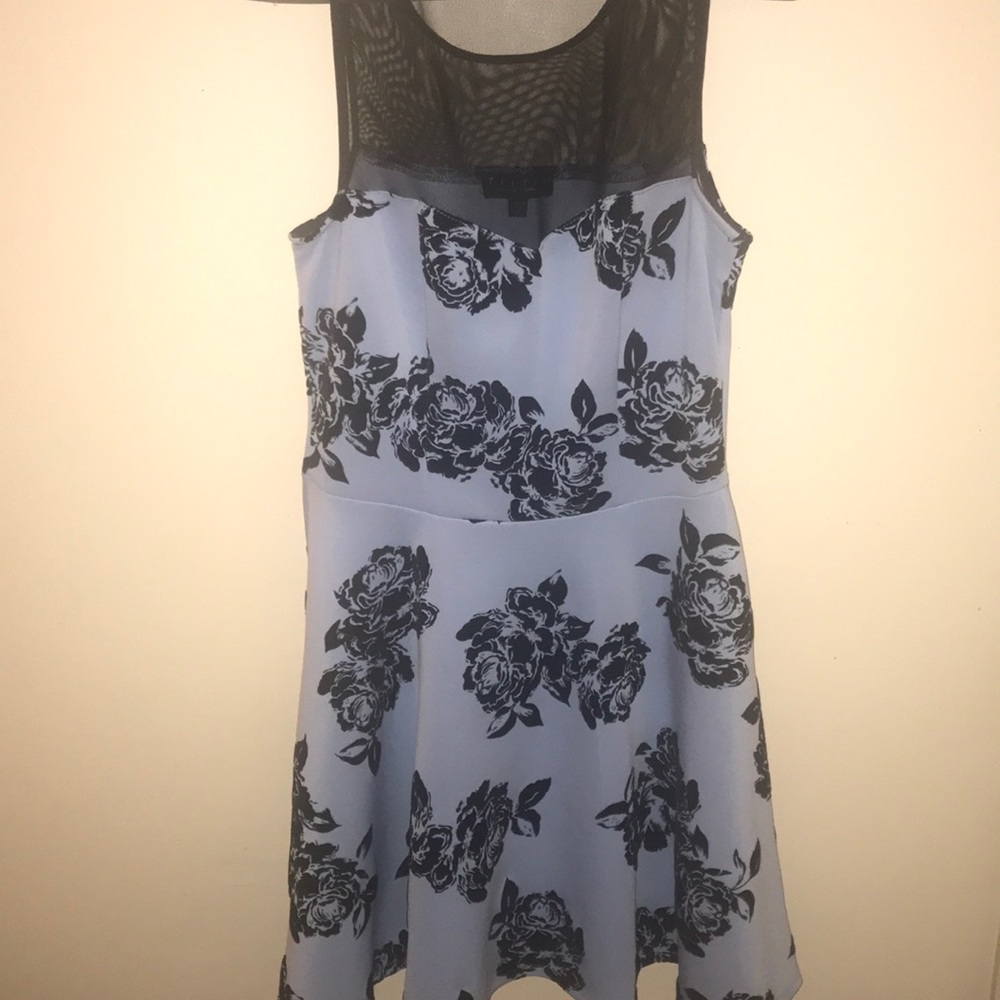 Short, velvety black rose and light blue dress